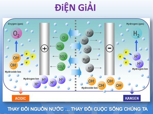 Kangen LeveLuk JrII