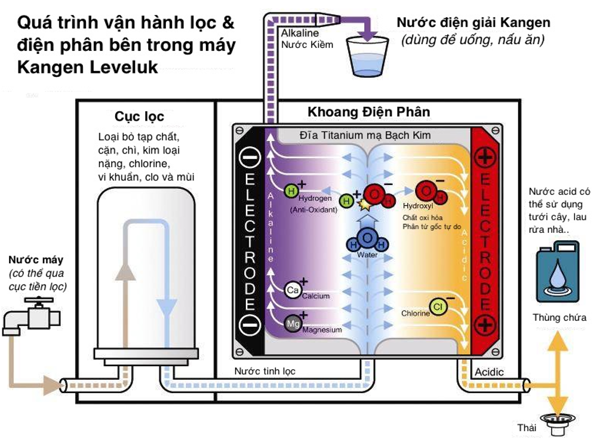 MÁY LỌC NƯỚC KANGAROO HYDROGEN KG100HQUV